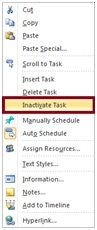 Microsoft Project 2010 Feature Rally: Inactive Tasks