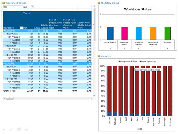 Microsoft Project 2010 Feature Rally: Reporting