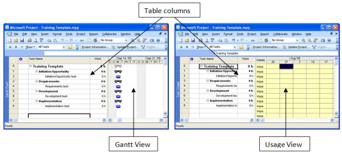 Gantt Chart Microsoft Project 2007