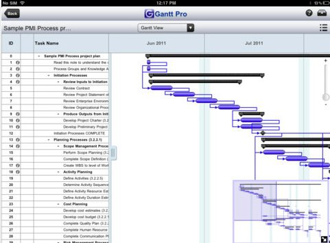 Microsoft Project on the Go