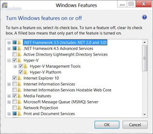 Project Server 2010 on Windows 8 Consumer Preview