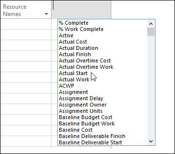 Using Microsoft Project's 
