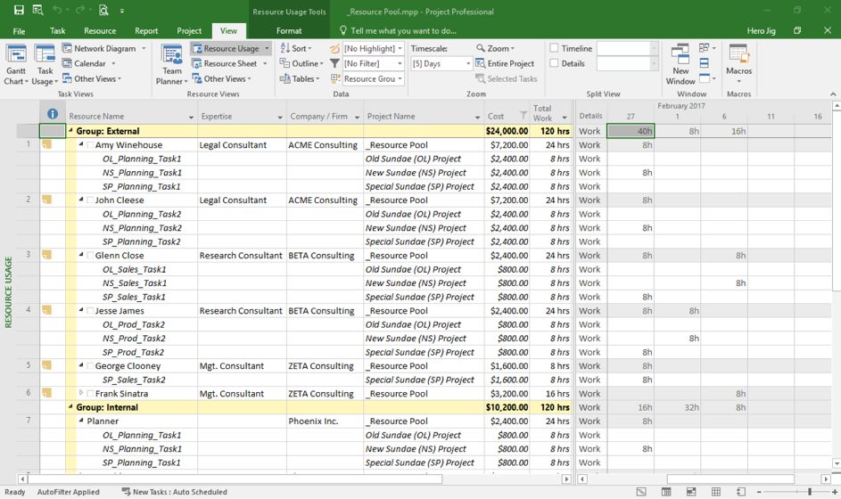 ms project team assignment pool