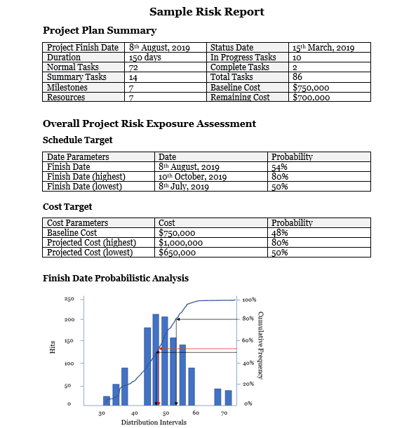 Sample Risk Report