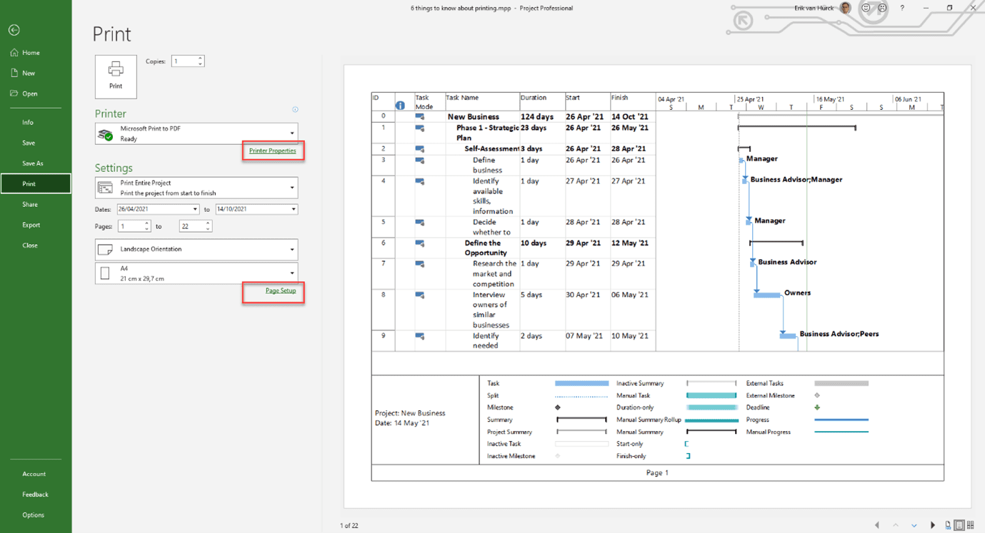  the print menu in Microsoft Project.