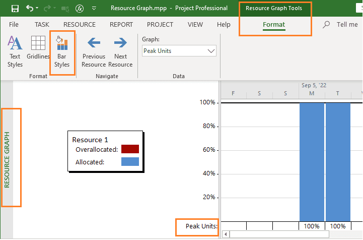 resource assignments in ms project