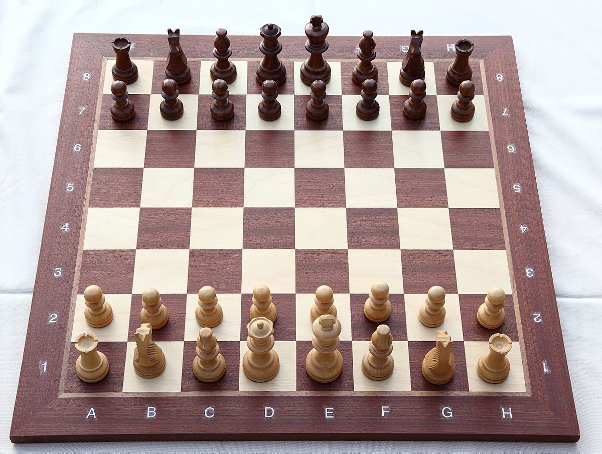 Beginners! Read this! - Chess Forums 