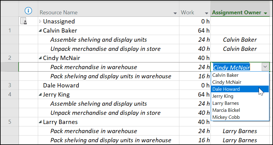 how to use assignment owner in ms project