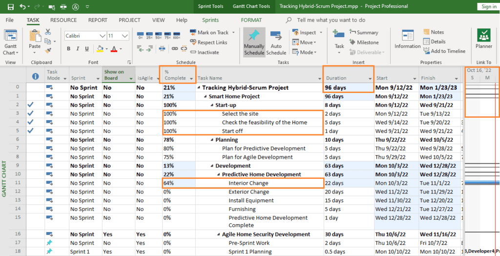 Gantt Chart view in Microsoft Project