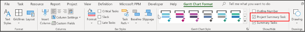 project summary task appears on which row Project summary task checkbox