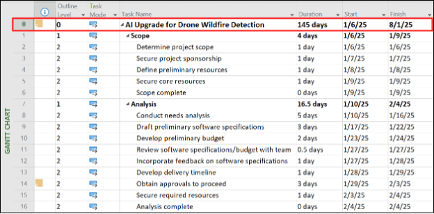 project summary task appears on which row PRoject summary task