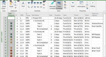 Displaying Values Graphically using Microsoft Project