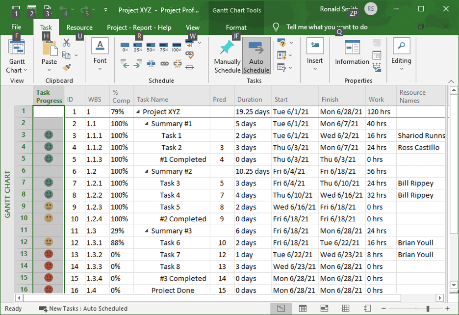 Displaying Values Graphically using Microsoft Project