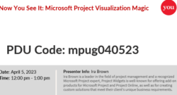 Microsoft Project Visualization