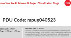 Microsoft Project Visualization