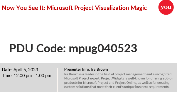 Microsoft Project Visualization