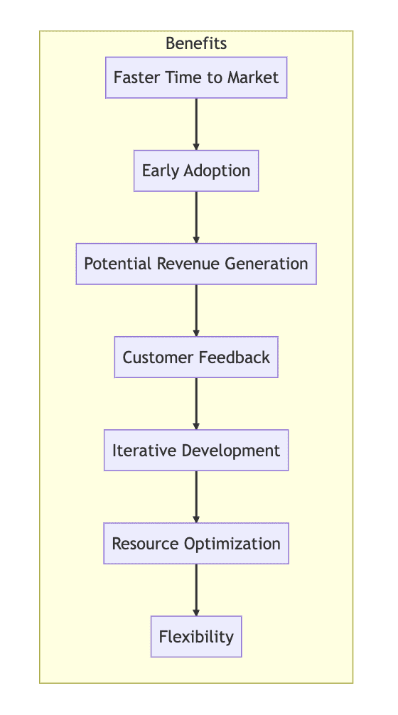 flowchart-style visualization of the key concepts minimum viable product