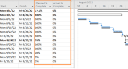 Percentage Complete in MS Project