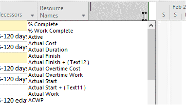 Type to filter columns.