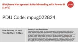 Screenshot of Webianr info Risk/Issue Management & Dashboard with Power Bi